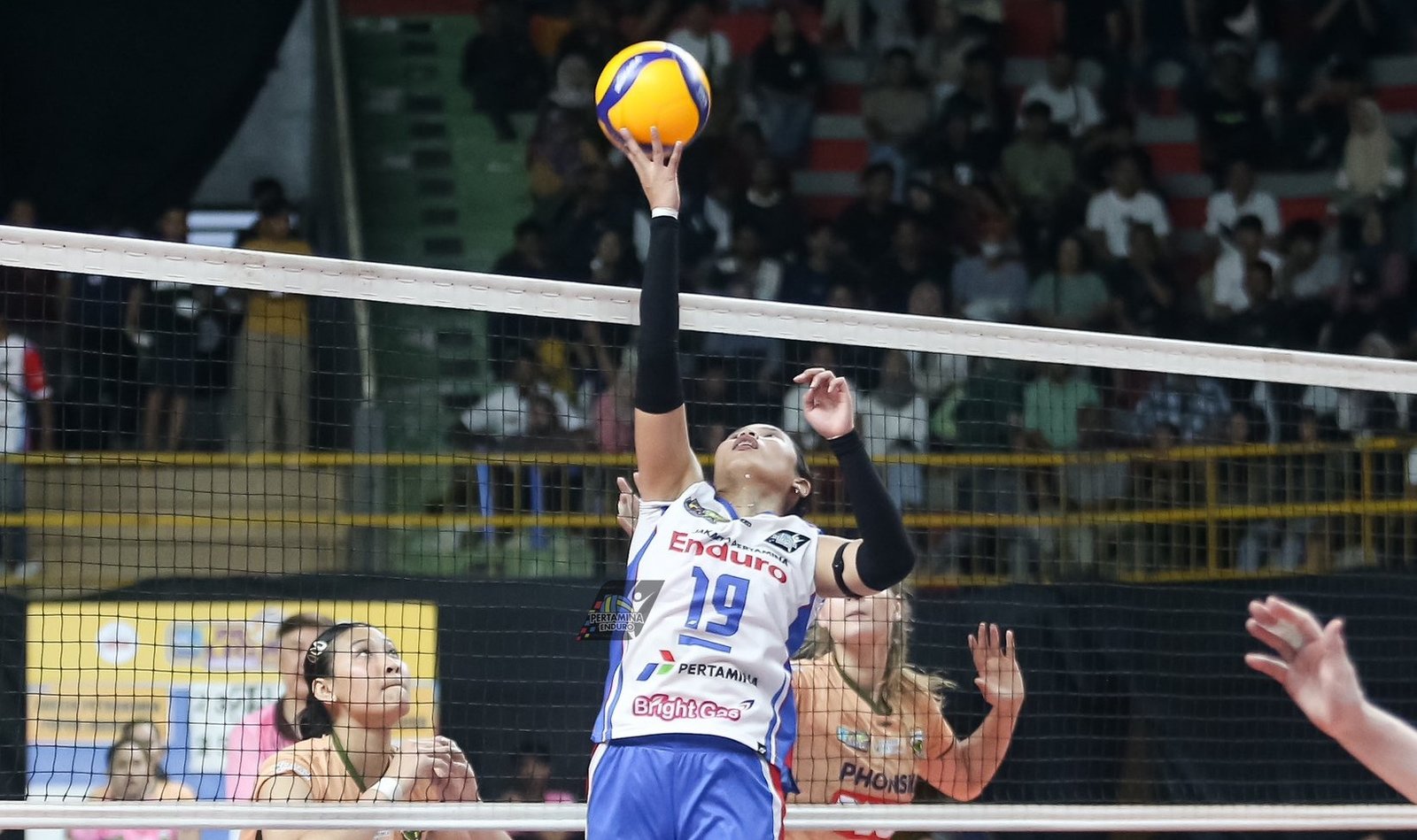Menjaga Asa Menuju Grand Final Proliga 2025, Cek Link Nonton
